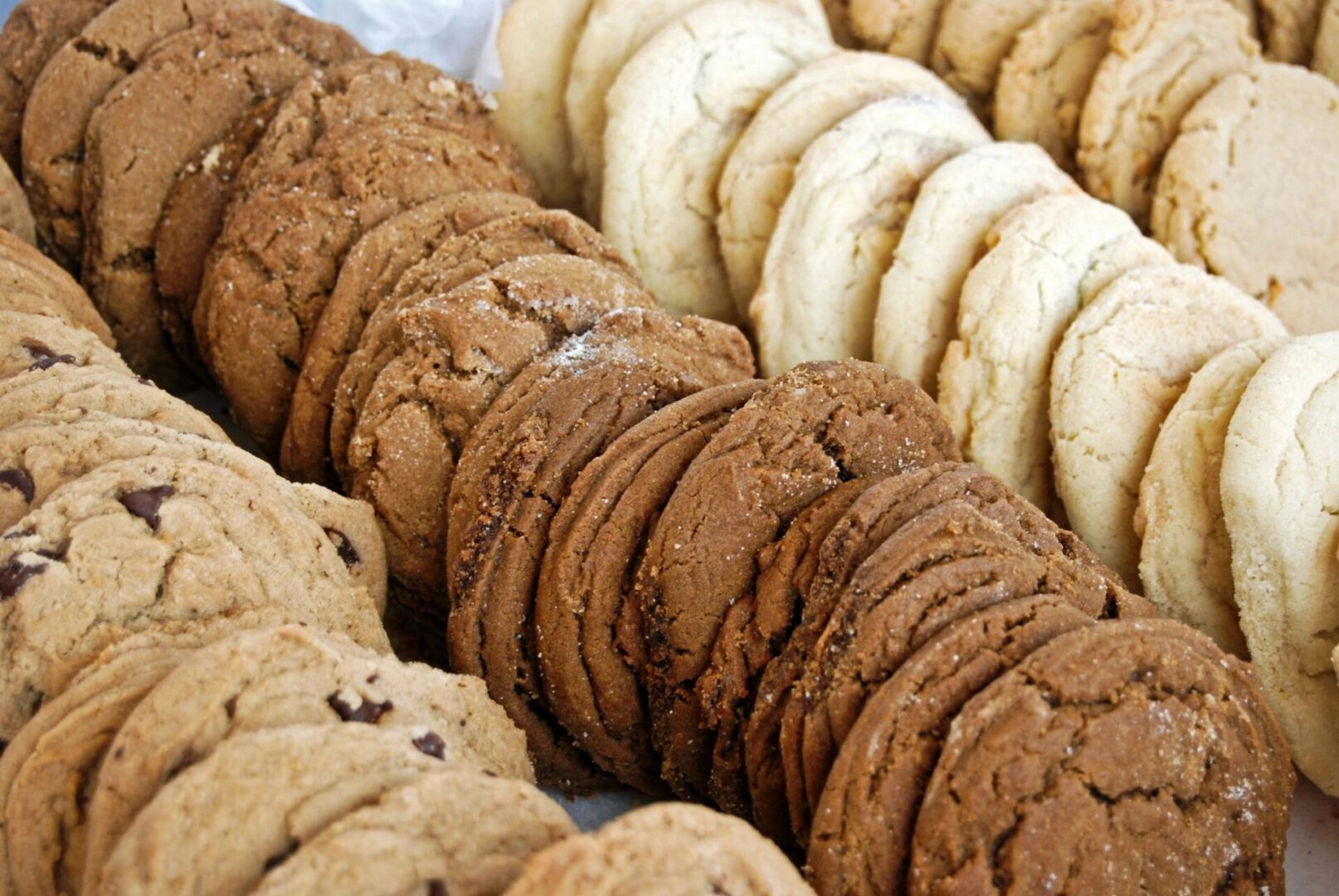 A close up of several different cookies on display.